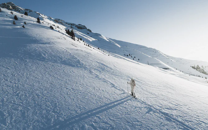 Winter Vitalpina