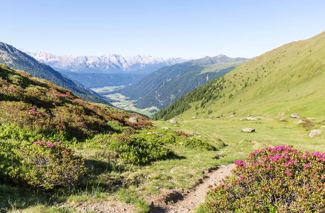 Gsieser Tal im Frühling