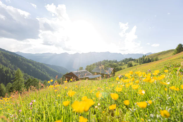 Gsieser Tal im Frühling