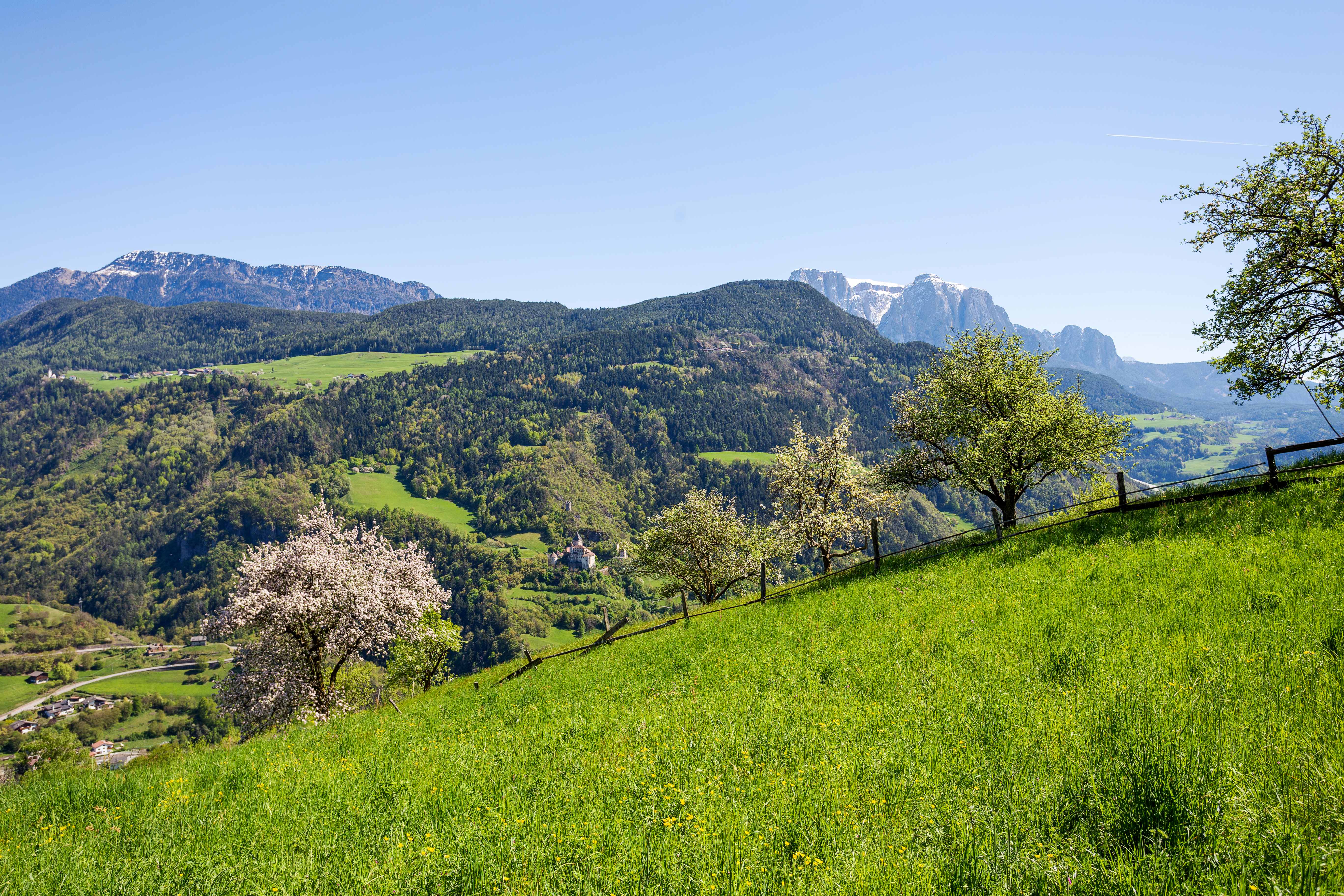 Klausen