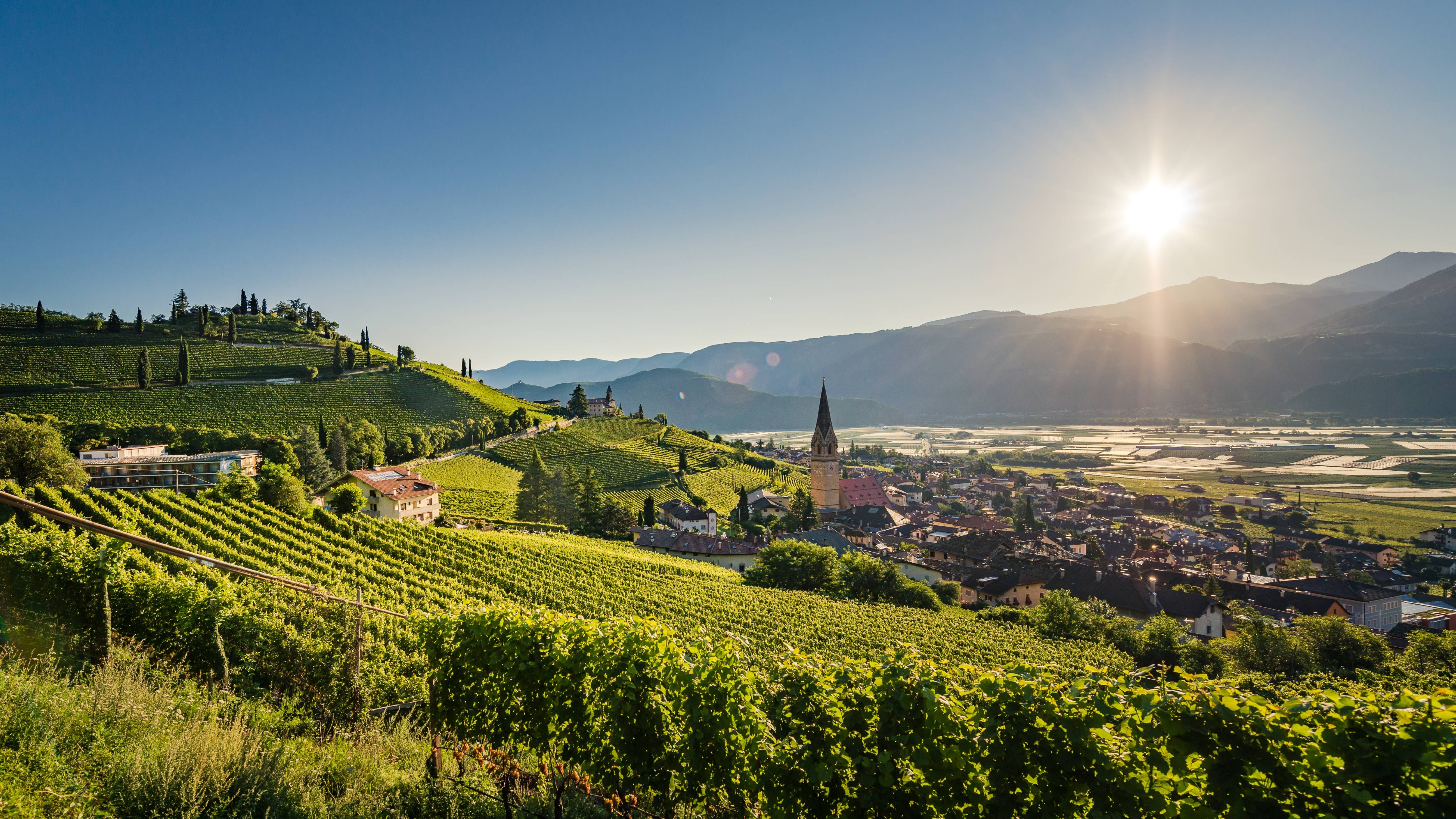 Sonnenaufgang über Tramin an der Weinstraße