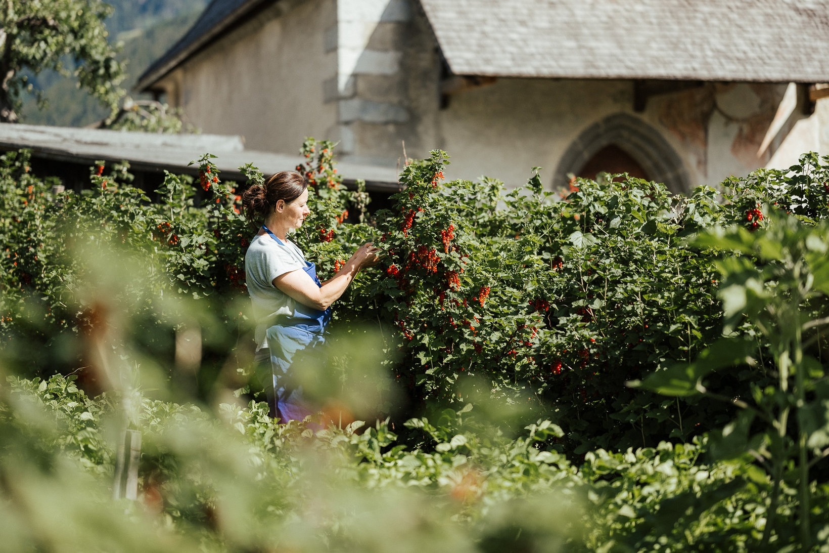 Giornate culinarie primaverili in Val di Funes