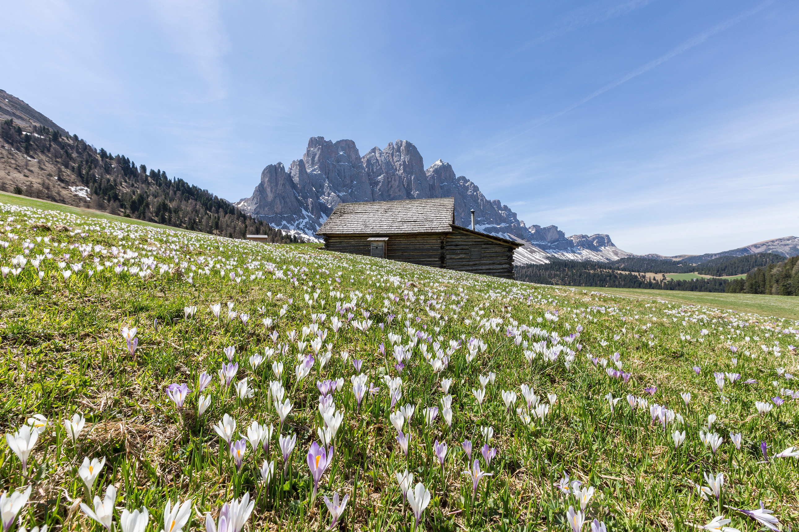 Frühling Villnöss