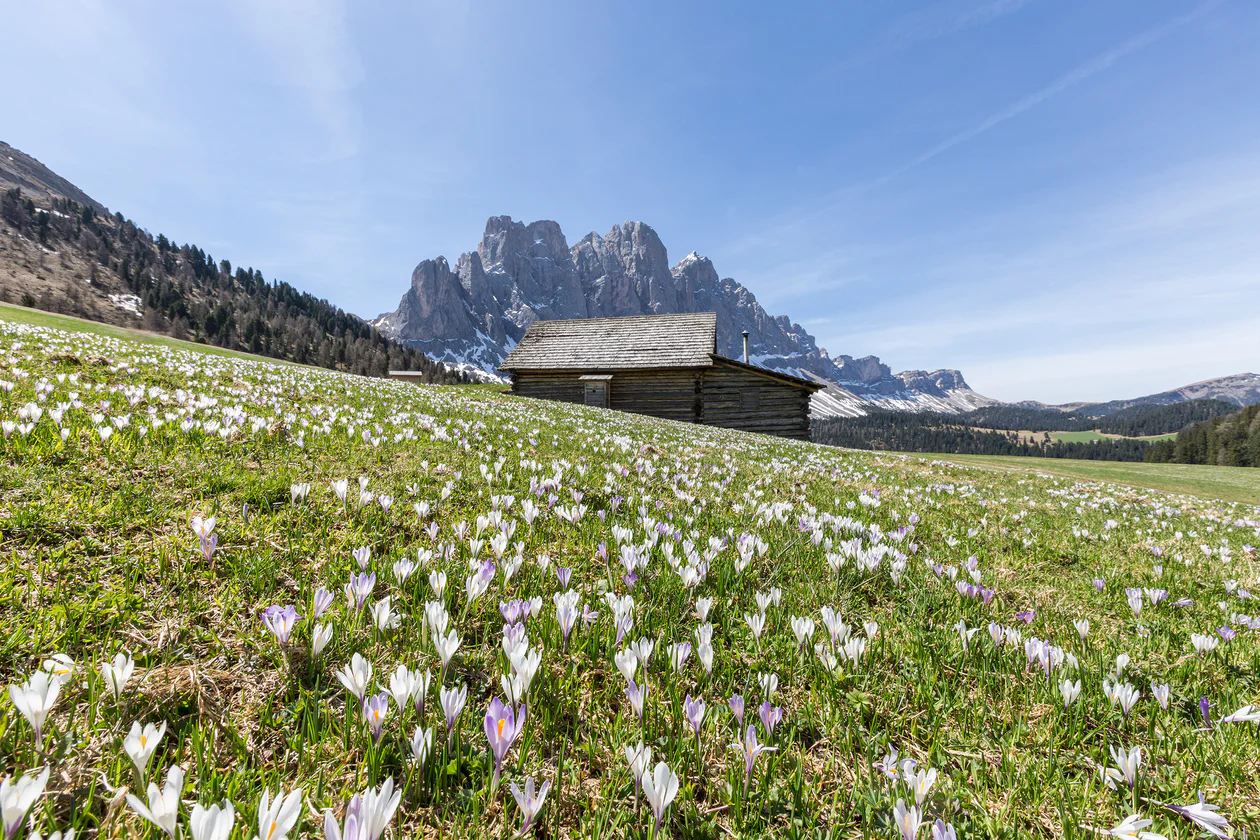 Frühling in Villnöss