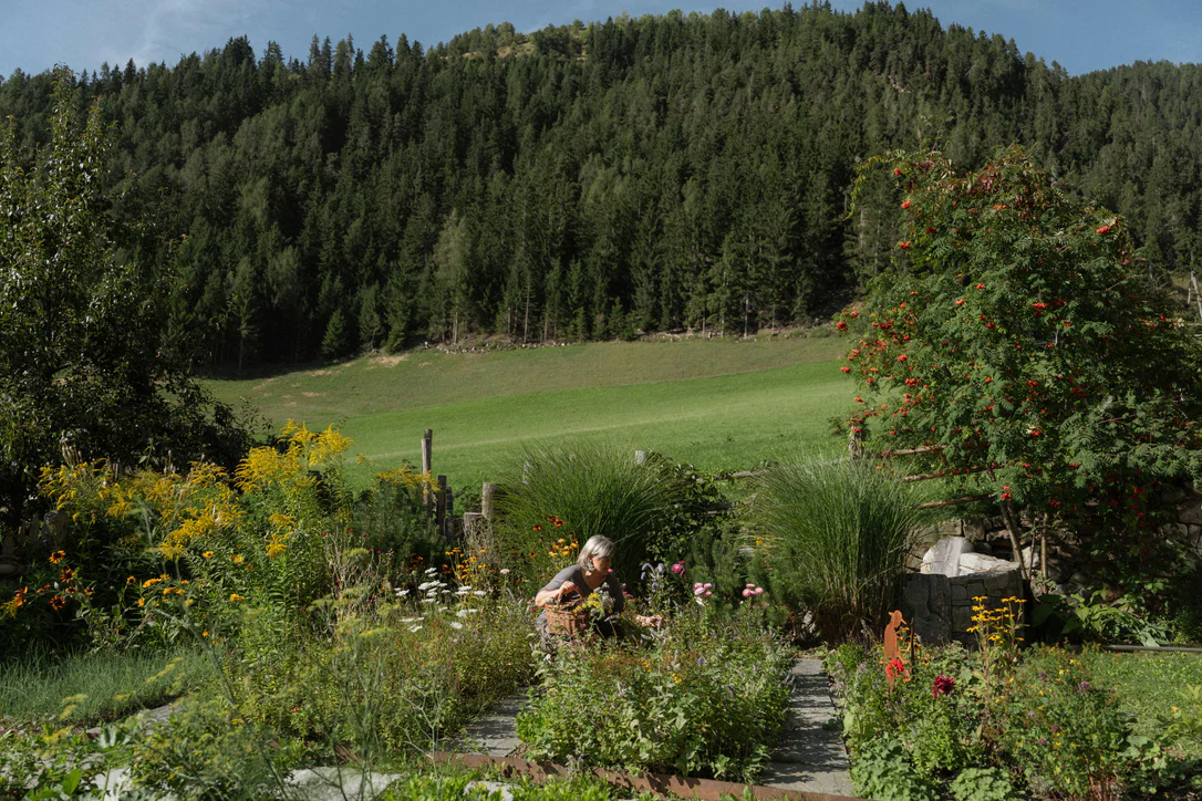 Frühling Odles mit Lüsen und Villnöss