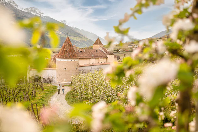 Vinschgau Frühling