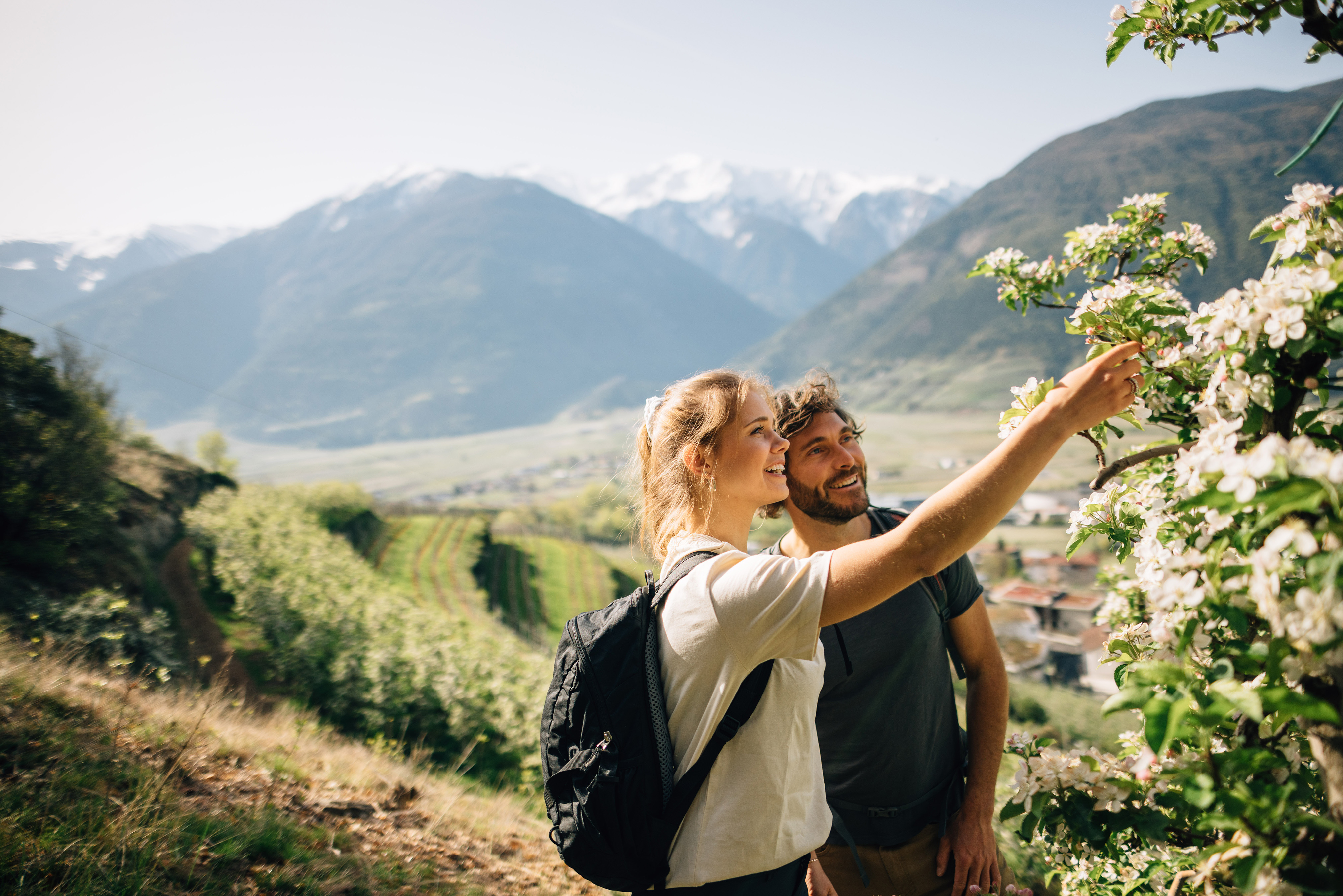Zwei Personen bewundern die Apfelblüte im Vinschgau
