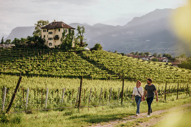 Route des vins du Sud-Tyrol