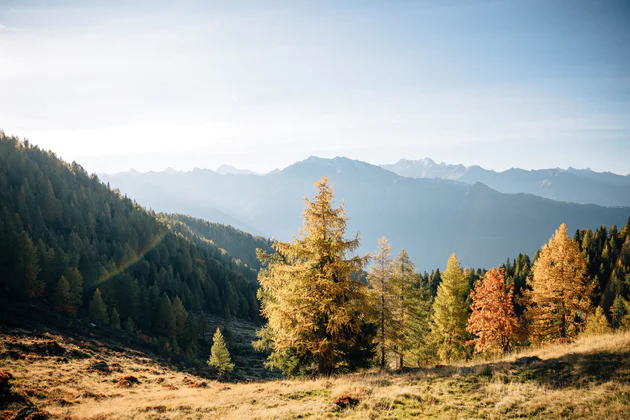 Autunno in Val Passiria