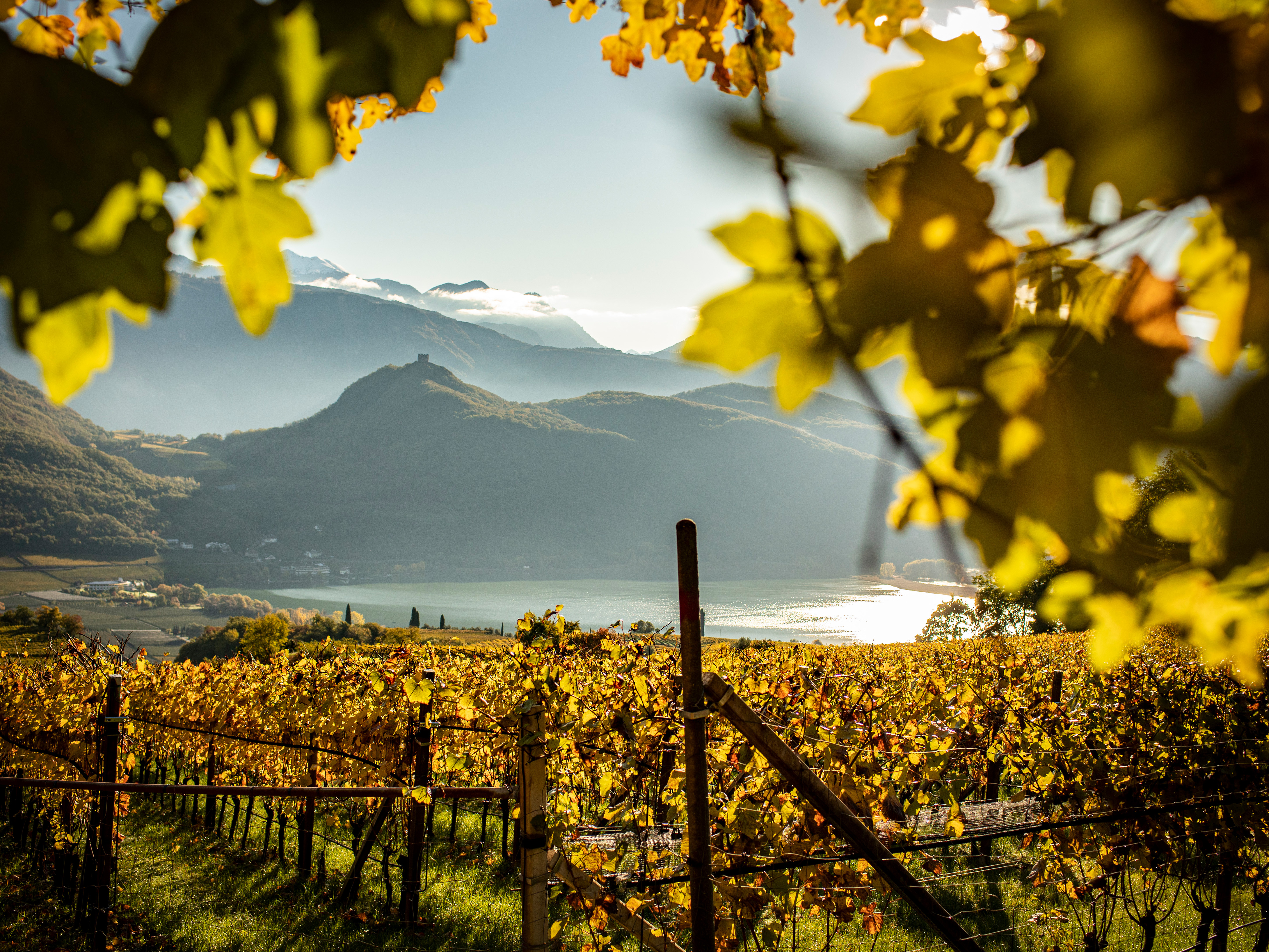 Herbst am Kalterer See