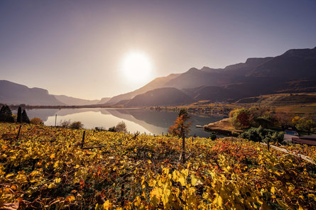 The Alto Adige Wine Road in autumn with the Lake Kaltern