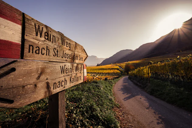 Ambiance automnale le long de la Route des vins 