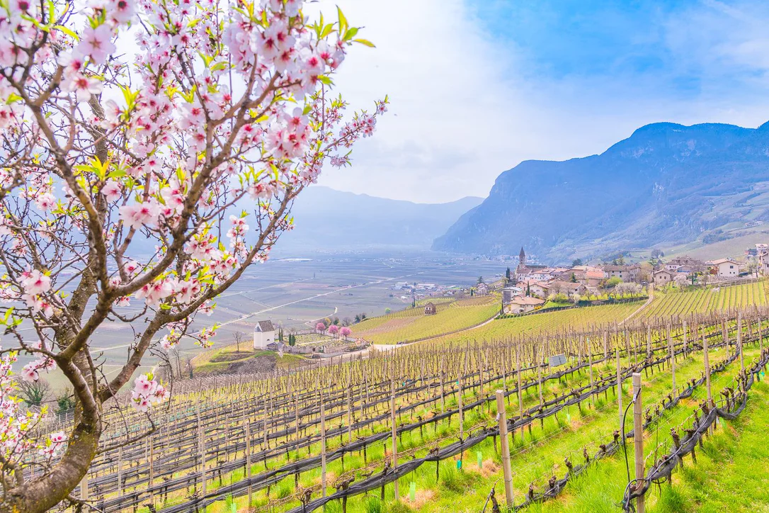 Primavera nel sud dell'Alto Adige