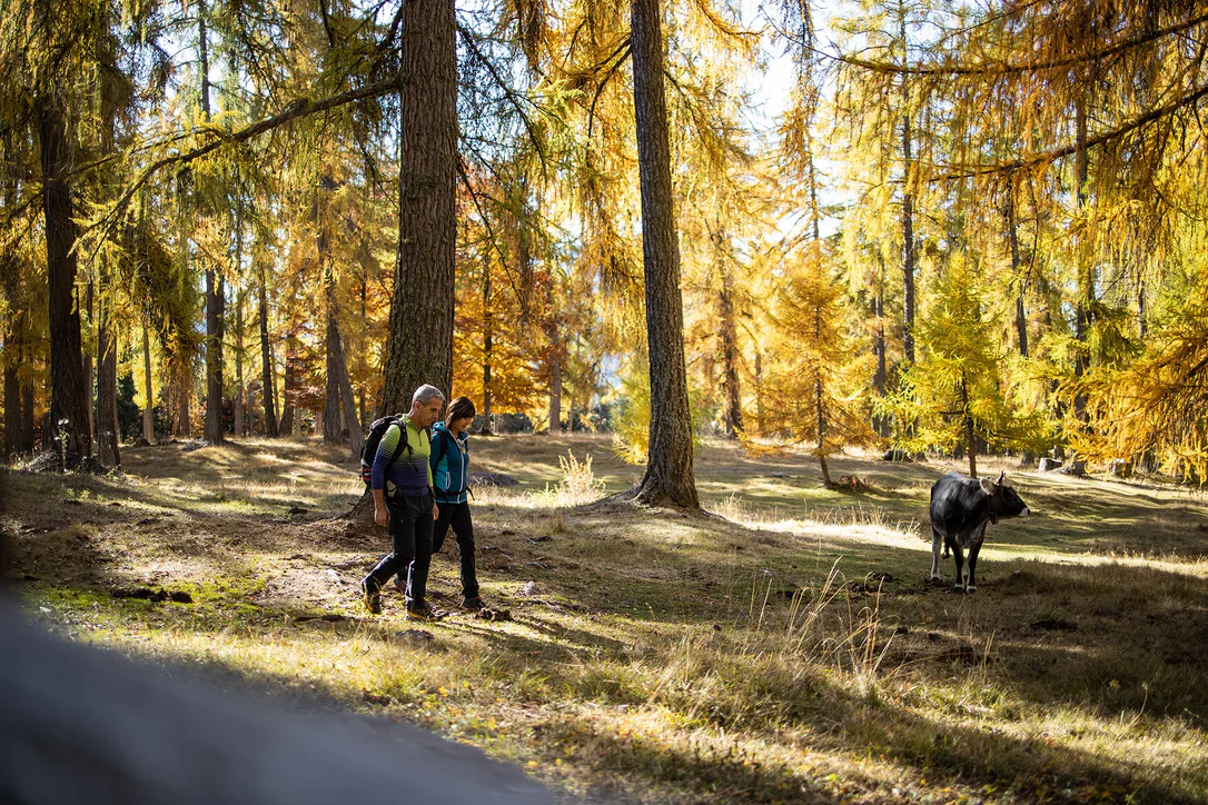 Wandern Villnöss