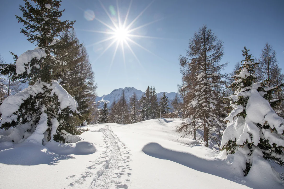 Ski Ultental