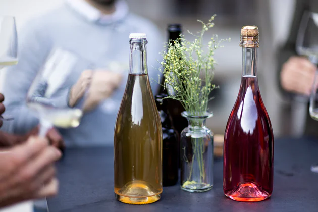 Meerdere personen staan aan een tafel met flessen Zuid-Tiroolse cider en proosten