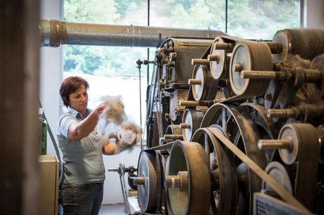 Lavorare la lana di pecora a feltro