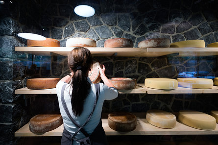 Una donna daventi ad uno scaffale in legno con forme di formaggi in stagionatura