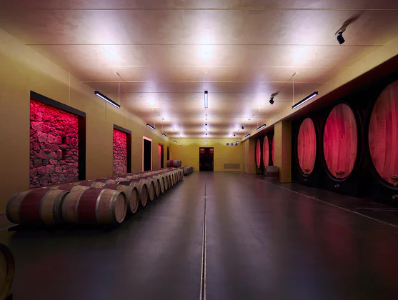 Blick in den modernen, schwach beleuchteten Weinkeller einer Kellerei