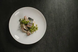 Ein kunstvoll angerichtetes Fischfilet mit knuspriger Haut, Radieschenscheiben, Sprossen und hauchdünnem Gemüse auf einem weißen Teller.