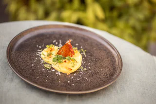 Zwei gelbe Cremehäufchen mit knusprigem Speck, Microgreens und feinen weißen Flocken auf dunklem Teller.