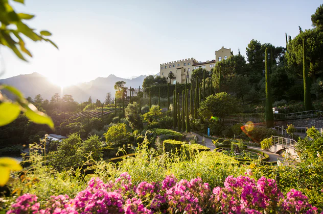 Uitzicht op het slot Trauttmansdorff en zijn tuinen in Meran. Op de voorgrond bloeien roze rozen, op de achtergrond gaat de zon onder achter een bergsilhouet, daartussen zijn vele struiken, heggen en bomen te zien.