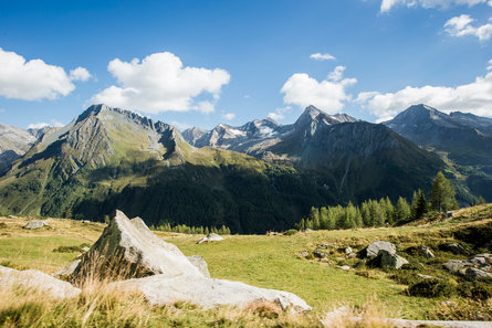 Pendii verdeggianti e imponenti montagne sullo sfondo in Valle Aurina