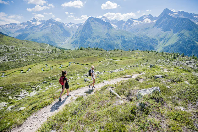 Due donne camminano lungo uno stretto sentiero in una verde torbiera alta