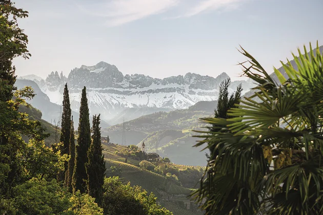 Blick auf die grüne und bergige Landschaft Südtirols