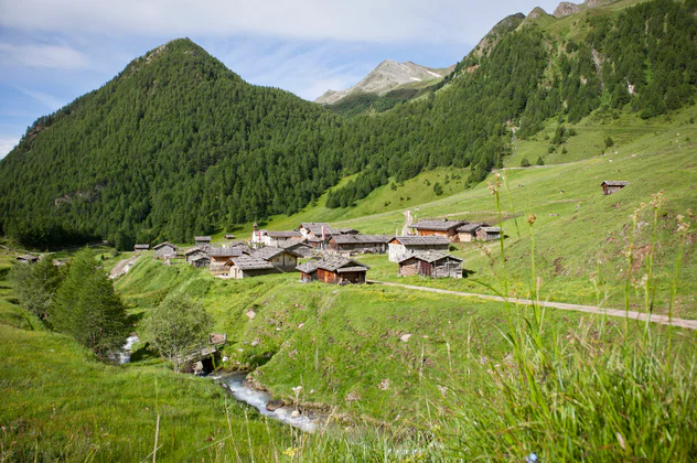 Alpine farm village and green meadows