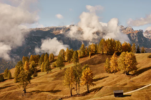 L'automne dans l'Alta Badia : une prairie alpine avec des arbres au feuillage doré