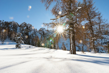 On sunny winter days, Karersee lake glows turquoise blue below the mountain panorama.