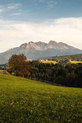 Vue sur le Latemar en automne