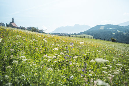 Deutschnofen en été