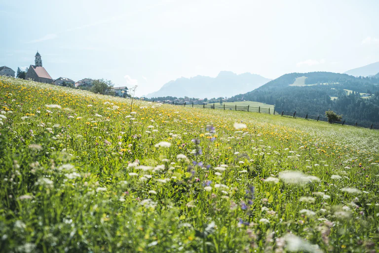 Deutschnofen au milieu de prairies verdoyantes, avec vue panoramique sur la vallée