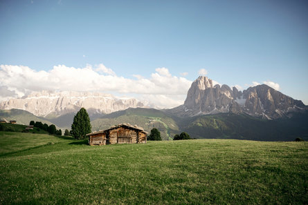 Dolomites Region Val Gardena