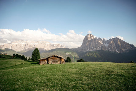 Vista panoramica da Passo Gardena sulla valle. Prati verdi verticali ai lati e imponenti montagne dolomitiche sullo sfondo