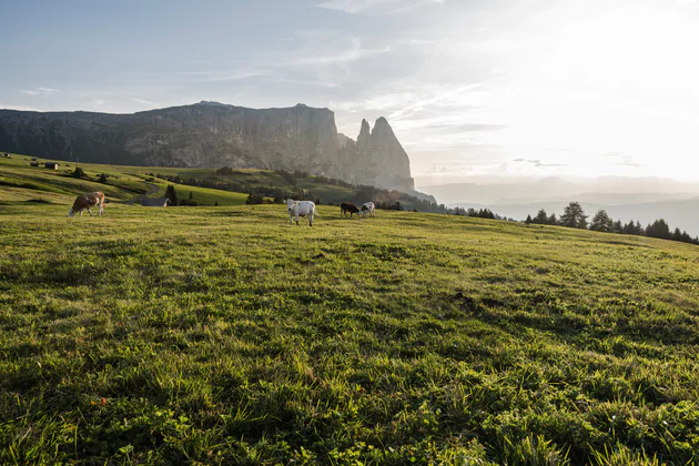 Un gruppo di persone siede di fronte ad una baita e si gusta il panorama sconfinato nel Parco naturale Sciliar-Catinaccio