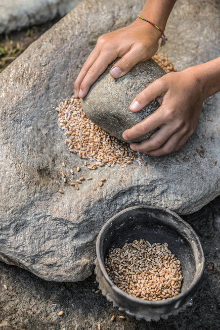 Detailní snímek dlaně na kameni, která sahá po zrníčkách obilí