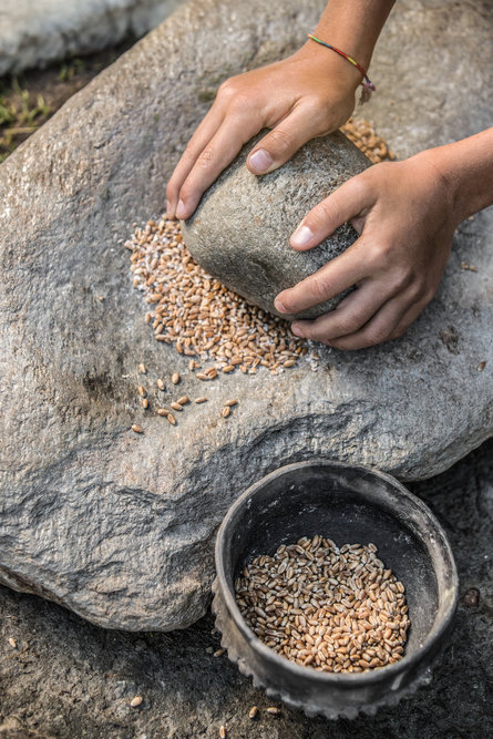 Gros plan d'une main tenant une pierre et écrasant des grains de céréales