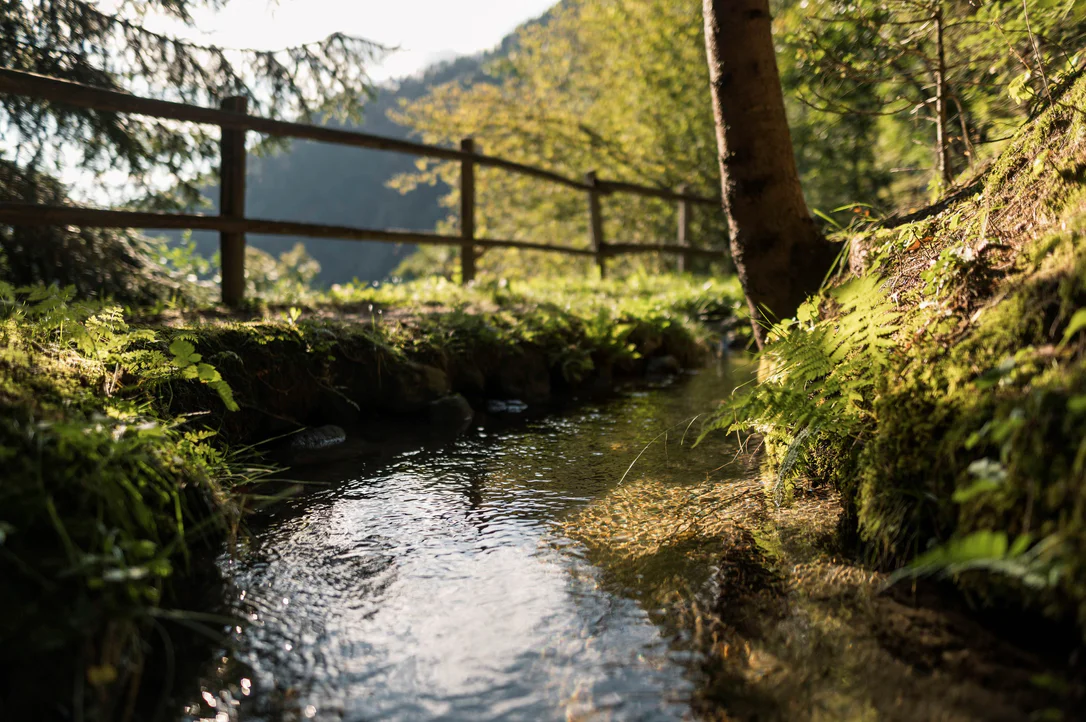 Ein Wasserlauf im Waalweg