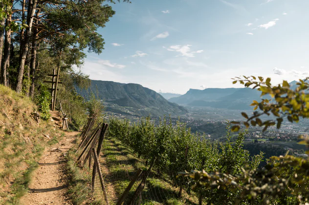 View on a Waalweg canal trail in Meran/Merano and environs