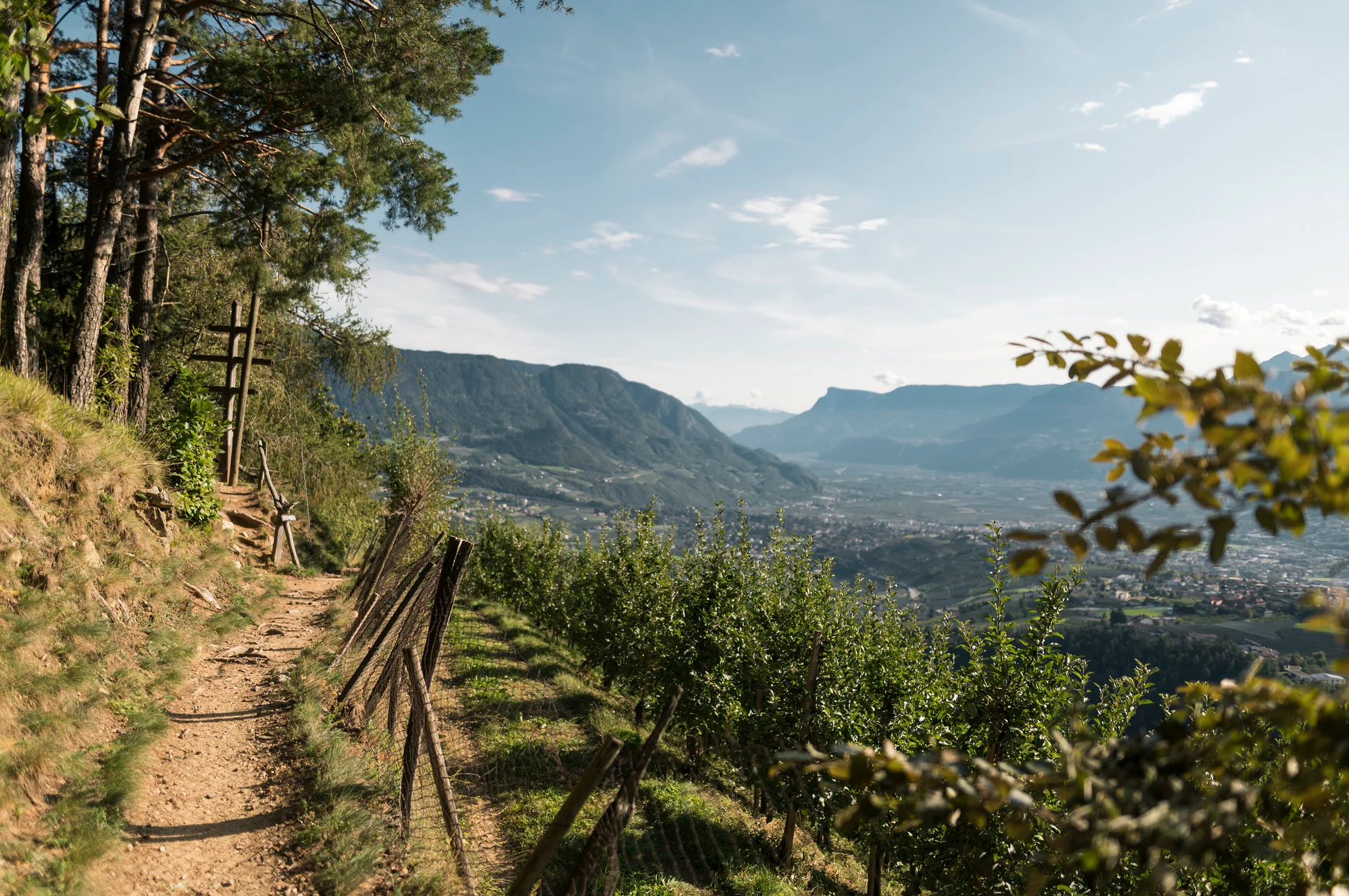 Blick auf ein Tal bei Waalwege