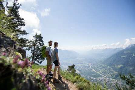 View into the valley at the Merano High Mountain Trail