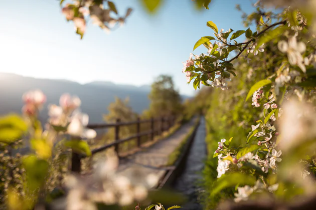 Waalwege in Alto Adige