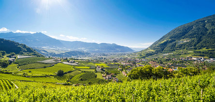 Uitzicht op Algund omgeven door bergen, wijngaarden en fruitbomen