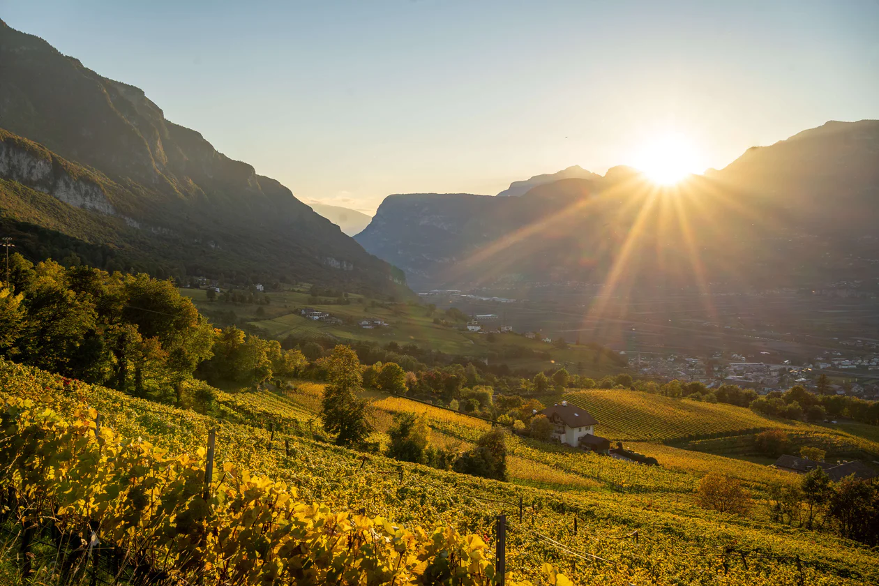  Auer/Ora - Montan/Montagna - Neumarkt/Egna & Salorno/Salurn
