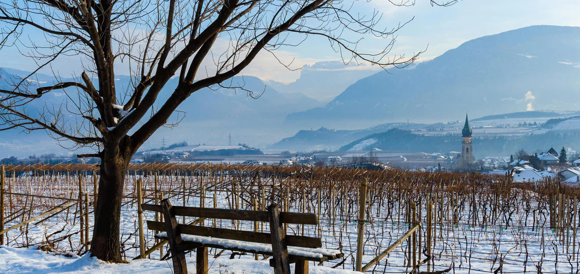 Due persone vanno in bici ad Appiano in una giornata estiva