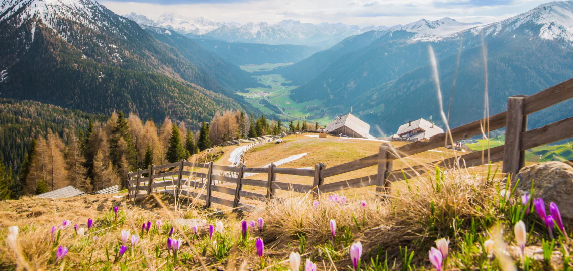 Frühling im Gsiesertal