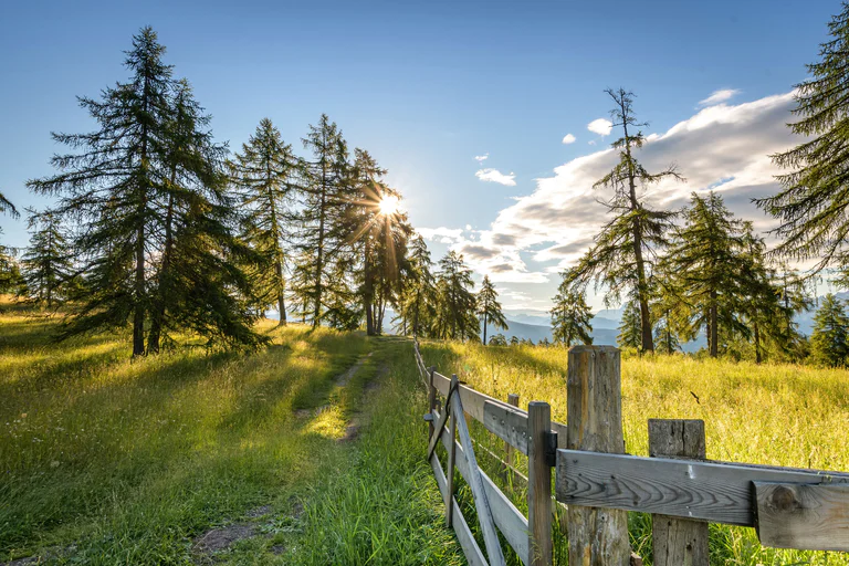 Vista su prati verdi e paesaggio boschivo con un recinto di legno in primo piano